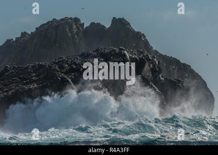 Les vagues s'écraser sur la rive de l'îles Farallon au large de la côte de Californie, les îles sont un lieu important de nidification pour les oiseaux pélagiques. Banque D'Images