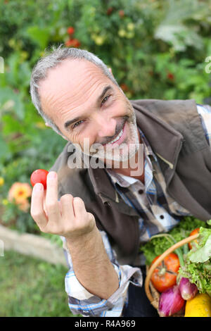 Cheerful senior man showing tomates du jardin Banque D'Images