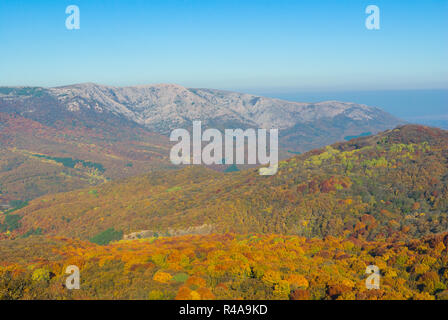 Paysage dans les montagnes couvertes de forêts de hêtres à l'automne Banque D'Images