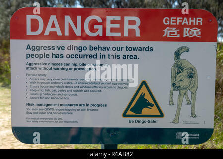 Signes d'avertissement concernant les dingos (Canis lupus dingo) sur Fraser Island, Queensland, Australie Banque D'Images