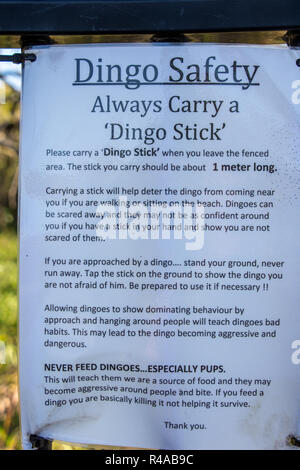 Signes d'avertissement concernant les dingos (Canis lupus dingo) sur Fraser Island, Queensland, Australie Banque D'Images