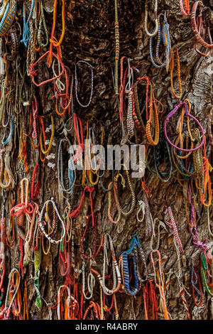 Bracelets à gauche dans l'arbre les champs de la mort où les enfants ont été tués pendant le génocide khmers rouges. Choeung Ek, Phnom Penh, Cambodge Banque D'Images