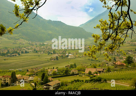 Le vilage de Lagundo Algund dans le Tyrol du Sud, l'Alto Adige, Südtirol en Italie Banque D'Images