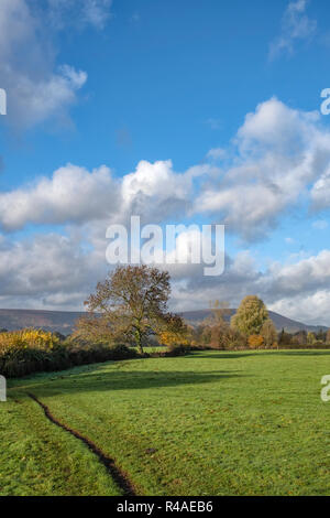 Une vue d'ensemble des terres agricoles dans la vallée de l'Usk, Galles du Sud. Banque D'Images