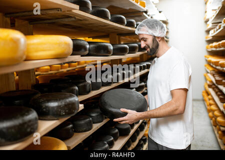 Worker holding meule de fromage recouvert de cire noire au stockage avec des étagères pleines de fromage au cours du processus de vieillissement Banque D'Images