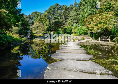 Jardin japonais, étang, parc, public, municipal, Westfalenpark, Dortmund, Ruhr, Rhénanie du Nord-Westphalie, Allemagne Banque D'Images