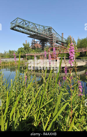 Parc paysager Duisburg, abandonné l'usine sidérurgique, Duisbourg, Rhénanie du Nord-Westphalie, Allemagne, Europe, Duisburg Banque D'Images