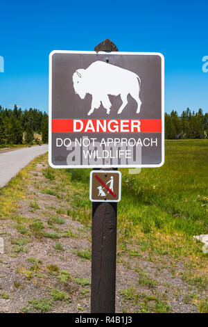 Danger Ne pas appoach,bison de la faune à proximité de pôle signe par une passerelle. Banque D'Images