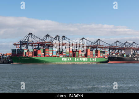 ROTTERDAM, Pays-Bas - 15 février 2016 : l'ultra large container ship CSCL Océan Indien de la China Shipping Line amarrée à l'Euromax Terme Banque D'Images
