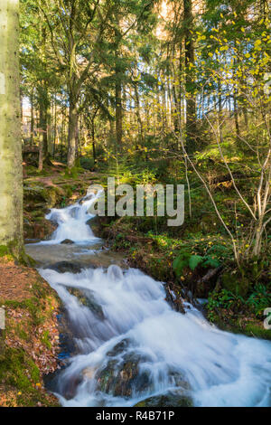 Ruisseau de montagne qui coule à travers la forêt dans la vallée de l'Elan Rhayader Powys UK Banque D'Images