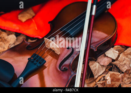 Gros plan sur un violon à carreaux rouges dans la forêt. Banque D'Images