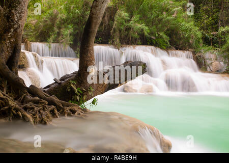 Les belles Cascades de Kuang Si Tat sont une excursion populaire Luang Prabang au nord du Laos. Banque D'Images