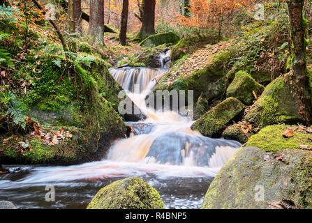 Un flux tournant doucement à travers l'étonnante Gorge brook Wyming dans le Peak District National Park of England UK Banque D'Images