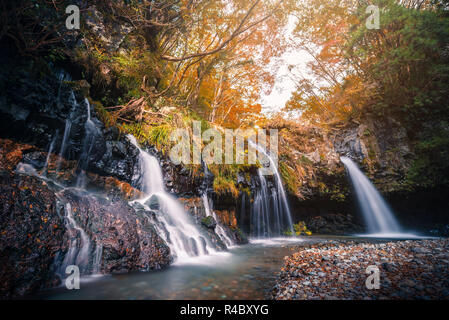 Cascade aux feuillage de l'automne à Fujinomiya, au Japon. Banque D'Images