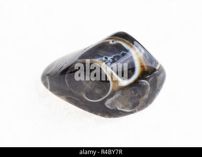 La macro photographie de minéraux naturels à partir de la collection géologique - tumbled agate turritella pierre fossile sur fond blanc Banque D'Images