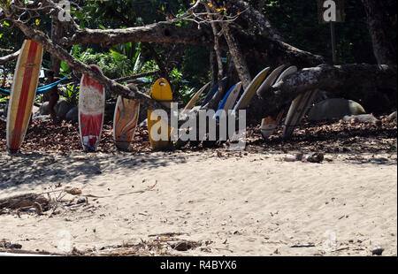 S'appuyant sur des planches de faible branche d'arbre sur une plage Banque D'Images