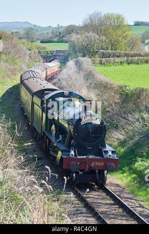 Locomotive à vapeur 6960 Raveningham tirant le Hall à Cottiford Bristolian Pont sur son chemin vers le West Somerset Minehead sur chemin de fer. Banque D'Images