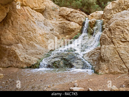 Une belle cascade désert sur wadi bokek canyon en aval du bokek printemps près de la station balnéaire de Ein Bokek dans la région de la Mer Morte Banque D'Images