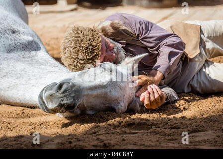 Homme couché avec White Horse Show de divertissement à Sioux City Park, Gran Canaria, Espagne Banque D'Images