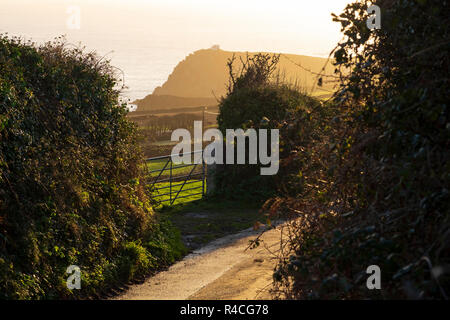 Soirée chaude du soleil en hiver, dans le village de East Devon, Prawle Banque D'Images