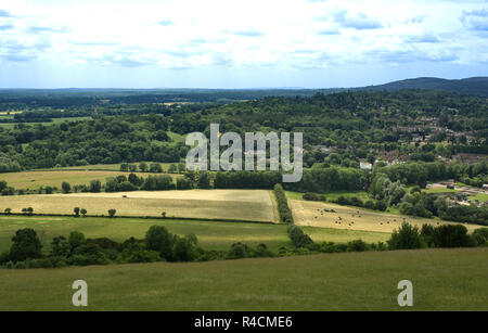 Vue sud sur les champs et bois à partir de Fort Hill dans les North Downs à Dorking, Surrey, Angleterre Banque D'Images