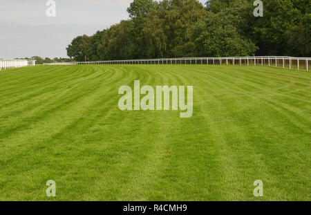 Sur l'Hippodrome Epsom Downs à Surrey, en Angleterre. (Célèbre pour le Derby course de chevaux) Banque D'Images