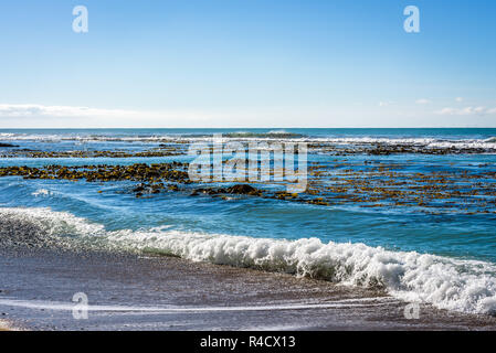 Paysage avec la mer, les vagues et les algues laminaires ciel clair sur l'horizon à plage de Bushy scenic reserve, Oamaru, populaire pour l'observation des phoques et des pingouins. Banque D'Images