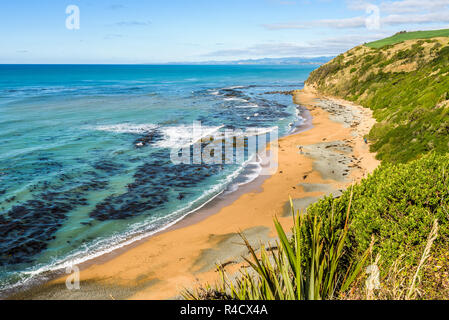 Beau paysage à plage de Bushy scenic reserve populaire pour l'observation des phoques et des pingouins. Oamaru, région de l'Otago, Nouvelle-Zélande. Banque D'Images