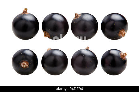 De Cassis. Petits fruits juteux mûr de cassis isolé sur fond blanc Banque D'Images