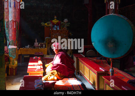 Le moine bouddhiste et de l'intérieur de Chemrey Gompa du Ladakh, le Jammu-et-Cachemire, l'Inde Banque D'Images