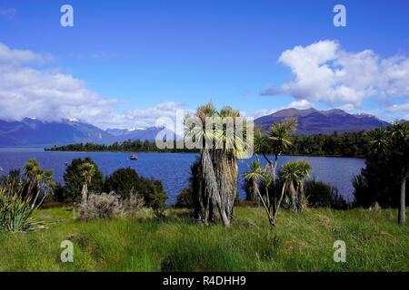 Le Chou de Nouvelle-Zélande arbres devant le bleu du lac et les montagnes enneigées en arrière-plan. Banque D'Images