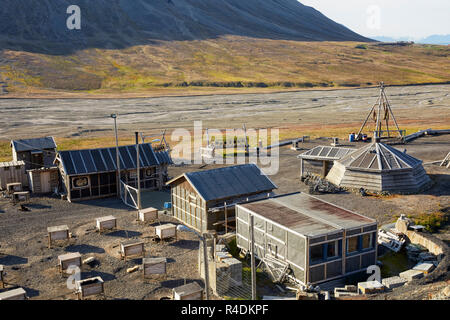 Chien Husky camp près de Longyearbyen au Spitzberg Spitzberg, Norvège Banque D'Images