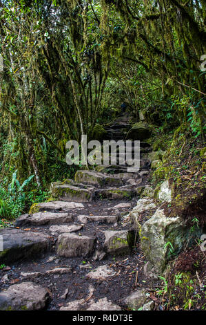 Escaliers sur le chemin de la citadelle Inca du Machu Picchu au Pérou Banque D'Images