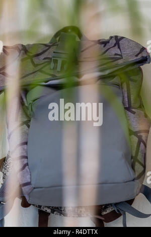 Sac à dos École violet accroché au mur - objet isolé sur fond blanc avec plante verte en face de c Banque D'Images