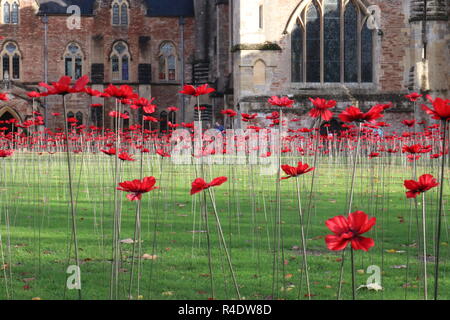 11 novembre Jour du Souvenir rend hommage. Champ de coquelicots à l'extérieur de palais des évêques et des jardins, Wells, Somerset, England, UK. Banque D'Images