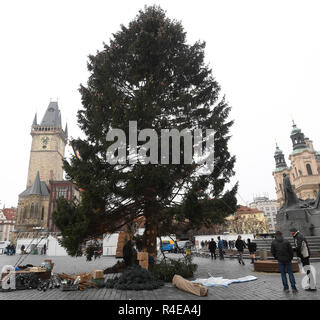 Prague, République tchèque. 27 Nov, 2018. Prague arbre de Noël est installé par des spécialistes sur la place de la vieille ville de Prague, en République tchèque, le 27 novembre 2018. L'épinette de Norvège (Picea abies) est d'environ 23 mètres de haut et 61 ans. L'arbre sera allumé le 1 décembre. Credit : Ondrej Deml/CTK Photo/Alamy Live News Banque D'Images