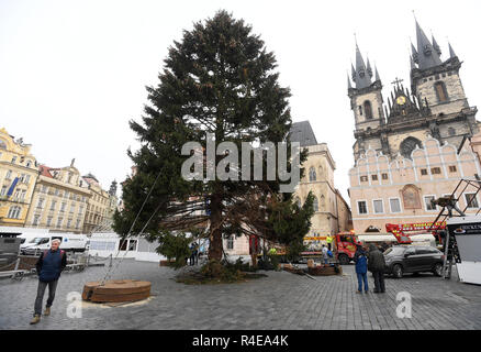 Prague, République tchèque. 27 Nov, 2018. Prague arbre de Noël est installé par des spécialistes sur la place de la vieille ville de Prague, en République tchèque, le 27 novembre 2018. L'épinette de Norvège (Picea abies) est d'environ 23 mètres de haut et 61 ans. L'arbre sera allumé le 1 décembre. Credit : Ondrej Deml/CTK Photo/Alamy Live News Banque D'Images