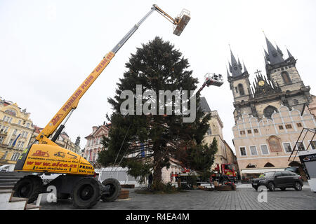 Prague, République tchèque. 27 Nov, 2018. Prague arbre de Noël est installé par des spécialistes sur la place de la vieille ville de Prague, en République tchèque, le 27 novembre 2018. L'épinette de Norvège (Picea abies) est d'environ 23 mètres de haut et 61 ans. L'arbre sera allumé le 1 décembre. Credit : Ondrej Deml/CTK Photo/Alamy Live News Banque D'Images