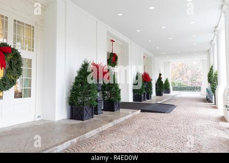 Couronnes et arbres à l'aile est entrée, une partie de la Maison Blanche 2018 décorations de Noël dévoilé à la Maison Blanche le 26 novembre 2018 à Washington, DC. Le décor a été conçu par la Première Dame Melania Trump et le thème 'trésors' américain. Banque D'Images