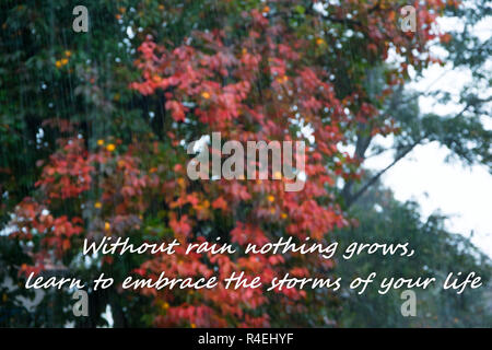 Temps de pluie contexte avec texte - "Sans la pluie rien ne pousse, apprendre à profiter de la tempête de votre vie", concept de motivation Banque D'Images