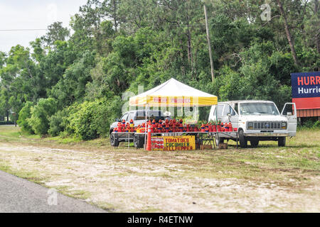 Venise, USA - Le 29 avril 2018 : produits fermiers légumes fruits stand du vendeur de vendre des tomates sign in Florida City par la route Banque D'Images