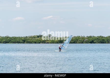 L'île de Sanibel, USA - Le 29 avril 2018 : surf, planche à voile à bord de surf dans la baie de Floride, près de la mer, plage, côte littoral Banque D'Images