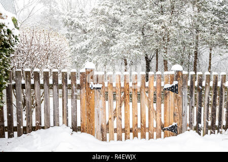 Clôture en bois porte avec loquet de verrouillage, verrouillé couvert de neige blanche à tempête de neige lourde, tempête, chute de flocons par House, maison avec forêt, Bush Banque D'Images