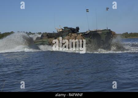 Les Marines américains avec 2e bataillon amphibie assaut, 2e Division de marines, (2d MARDIV), l'exploitation d'un assaut Véhicule amphibie (AAV-7A1) par une rivière dans le cadre de la préparation au combat du Corps des Marines, de l'évaluation (MCCRE), Camp Lejeune, N.C., le 24 octobre 2016. MCCRE est une évaluation de la formation pré-déploiement conçu pour tester les compétences de Marines et de marins avec des scénarios de combat possible. Banque D'Images