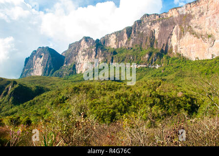 Roraima Tepui, Gran Sabana, Venezuela Banque D'Images