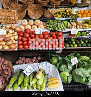 Fresh Fruits exotiques dans Mercado DOS Lavradores. Funchal, Madère Banque D'Images