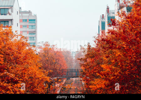 Brouillard d'automne sur les rails et le pont sur la piste dans une zone résidentielle de Paris un jour de pluie. Banque D'Images