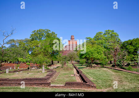 Dans le site de pèlerinage de l'ancienne ville royale d'Anuradhapura sur l'île tropicale de Sri Lanka, on trouve les ruines d'un ancien temple complexe Banque D'Images