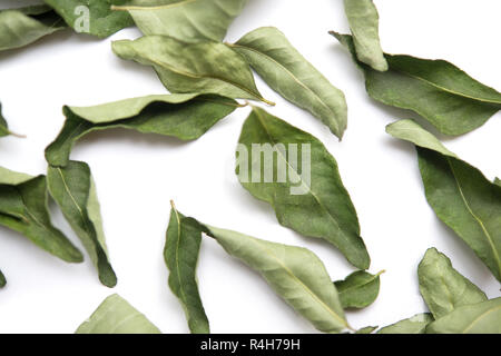 Close up des feuilles de cari séchées sur fond blanc. Banque D'Images