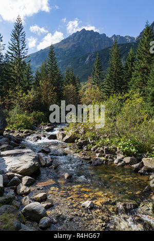 Flux dans la vallée Roztoka Roztoka. Parc National des Tatras. Hautes Tatras, massif des Carpates. Réserve naturelle. Pologne Banque D'Images